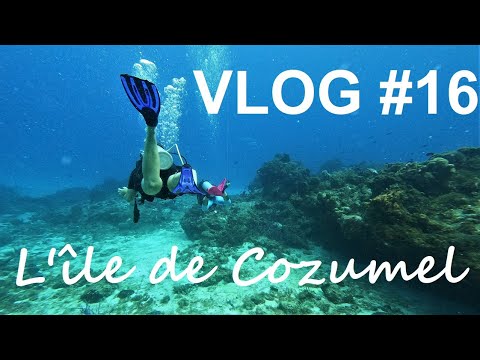 VLOG  16 MEXIQUE  Lile de Cozumel un des plus beau spot de plonge du monde