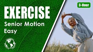 Senior Exercise | Easy Movements for Comfort & Daily Wellness - 3 Hours