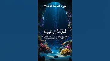 #استمع الأن لتلاوة خاشعة من القرآن الكريم نور لقلبك و راحة لروحك
