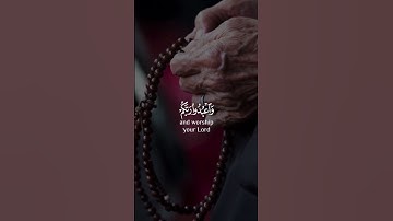 يا أيها الذين آمنوا اركعوا واسجدوا واعبدوا ربكم وافعلوا الخير | سورة الحج | القارئ عبدالرحمن مسعد