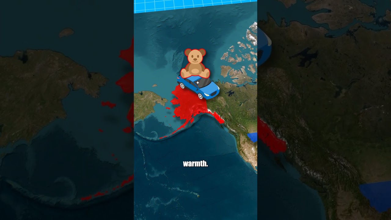 The Place in America Where Bears Are Your Neighbors