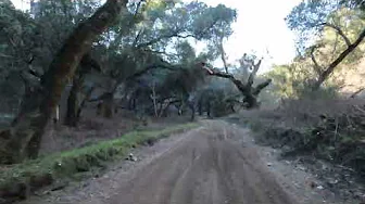 Harmony Gate Rd Trail - Hollister Hills SVRA