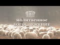 Молитвенное служение || 13.02.2024