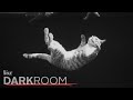 Physics of Cat Motion and Photography