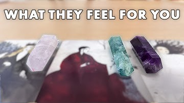 What They Feel for You 💜 Their Next Move & Messages | Pick A Card • Tarot Reading • Timeless