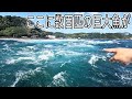 メーター越えの巨大魚が大漁⁉地元漁師の引き縄漁がヤバかった!
