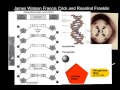 DNA Structure and Discovery Quiz
