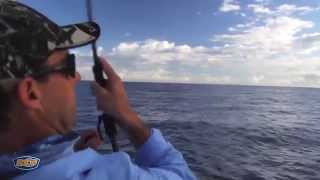 How to- Reef Jigging - BCF