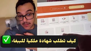 طريقة طلب شهادة ملكية للببغاء من منصه فطري