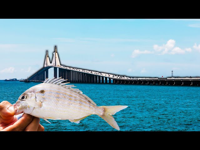 Skyway Fishing Pier Grouper Secrets - Tips You Need to Know 