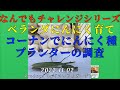 コーナンにんにく種・プランター調査 知里さんの「黒百合の歌」にのせて 2022 09 28