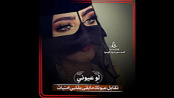 ياسيدي ياسيد الملاح يامنيتي يارحت الراح حلات وتس ستوريات فديهات رووعه 