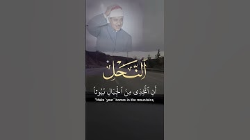 #سورة_النحل #عبد_الباسط_عبد_الصمد #عبدالباسط_عبدالصمد #اكسبلور #المصحف #shortvideo #fyp #viral