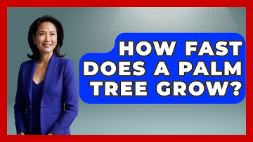 How Fast Does A Palm Tree Grow? - The Plant Enthusiast