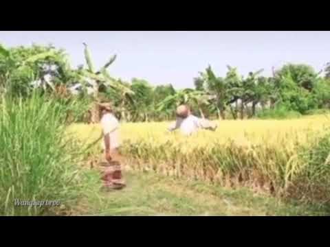 Prank orang lagi cari rumput di sawah