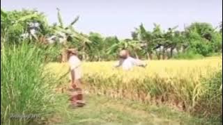 Prank orang lagi cari rumput di sawah