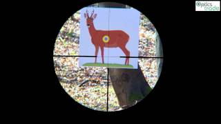 Zeiss Victory Fl 6-24X56 Reticle 60 Subtensions