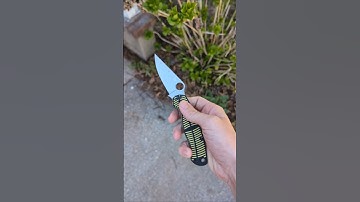Spyderco PM2 Salt