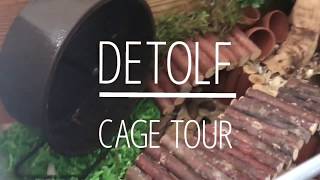 detolf cage tour