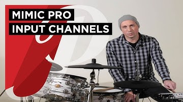 Pearl Mimic Pro Module. Trigger input channels