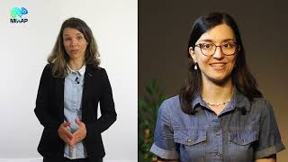 More About The Project