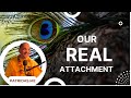 ISKCON NEW TALAVAN FARM COMMUNITY USA || SB-4.28.5 || WHAT SHOULD BE OUR REAL ATTACHMENT @PatriDasa