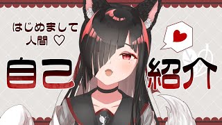 「【自己紹介】狐夜庵ちくわと申します【Vtuber】」のサムネイル