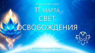 11 Марта. Свет Освобождения