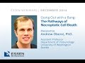 Essen BioScience webinar: Pathways of Necroptotic Cell Death. presenter: Andrew Oberst, PhD