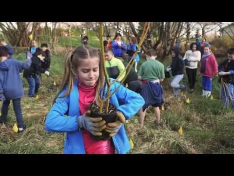 Bringing Conservation Education Into Schools