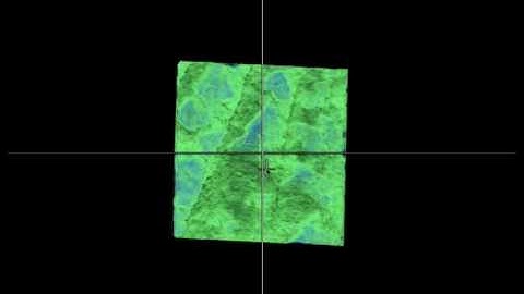 Screen Capture of 3D Microbialites