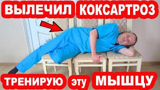 видео: Тренируй эту Мышцу и КОКСАРТРОЗ исчезнет НАВСЕГДА! Тазобедренные Суставы не Болят! Уникальный Метод! картинка: Тренируй эту Мышцу и КОКСАРТРОЗ исчезнет НАВСЕГДА! Тазобедренные Суставы не Болят! Уникальный Метод!
