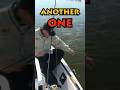 Every Cast, Another Surprise