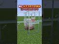 【マイクラ】羊牧場の草を絶やさない裏技【ゆっくり実況】 #Shorts