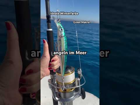 Angeln Im Meer Fischen Im Urlaub Fishingprofi Angeln Meeresköder Meeresangeln