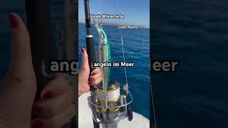 Angeln Im Meer Fischen Im Urlaub Öder