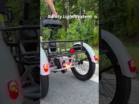 TK1 Folding Electric