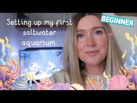 My first marine fish tank | Beginner saltwater aquarium, Fluval Evo 13.5 | How to set up a nano reef
