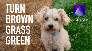 Luminar AI – Turn Brown Grass to Green