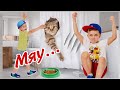 Мама ЗАПРЕТИЛА взять домой КОТА. Что придумают Кирилл и Филипп?// KiFill boys