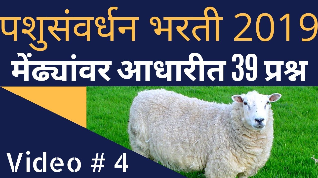 पशुसंवर्धन भरती 2019 पशुधन पर्यवेक्षक, परिचर Pashusavardhan■मेंढ्यांवर  आधारीत प्रश्न व विश्लेषण