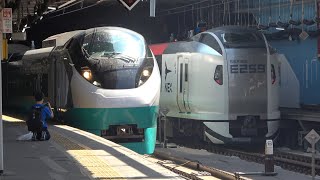 2023/05/10 E657系緑塗装 E531系赤電 E259系新塗装 品川駅 | Japan Railways: E657, E259 & E531 Series at Shinagawa