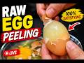 RAW EGG PEELING LIVE day 4 part 3