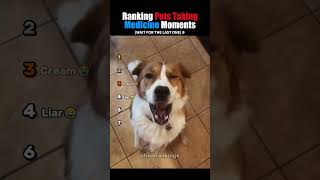 Ranking Pets Taking Medicine Moments #usa