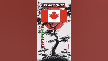 Can you guess the flag in 3 seconds?#knowledge #flag #country #quiz
