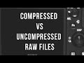 Compressed vs Sony Uncompressed Raw Files