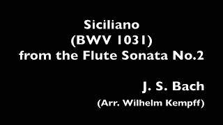 Siciliano  (BWV 1031) from the Flute Sonata No.2 - J. S. Bach (Arr. Wilhelm Kempff)