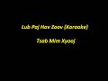 Lub Paj Hav Zoov - Tsab Mim Xyooj (Karaoke)