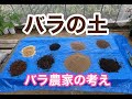 バラ農家が教えるバラの土について