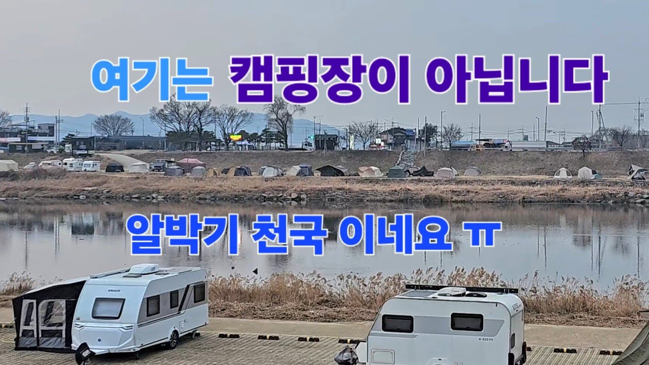 새로열어준 캠핑장소가 알박기천국 ㅠ.충주 단월강수욕장.억세밭길산책.김치전에막걸리.노지차박